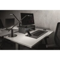 DURABLE Schreibunterlage EFFECT 70 x 33 cm (B x H) ohne...