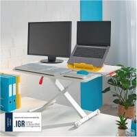Leitz Sitz-Steh-Arbeitsplatz Ergo Cosy 80 x 35 cm (B x T) grau