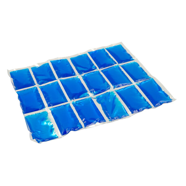 CAMPINGAZ Kühlakku Flexi FreezPack M 24 x 10,5 x 2 cm (B x H x T) 0,3kg