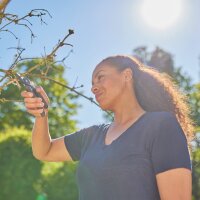 GARDENA Gartenschere PremiumCut Material der Klinge:...