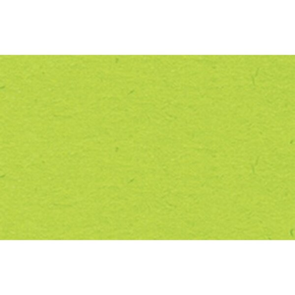 URSUS Tonpapier 50 x 70 cm (B x H) 130g/m² hellgrün 10 Bl./Pack.