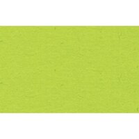 URSUS Tonpapier 50 x 70 cm (B x H) 130g/m²...