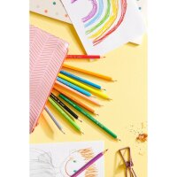 Faber-Castell Buntstift Eco farbig sortiert 12 St./Pack.