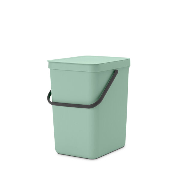 Brabantia Abfallbehälter Sort & Go 25l Kunststoff jade green 1 Sortierfach