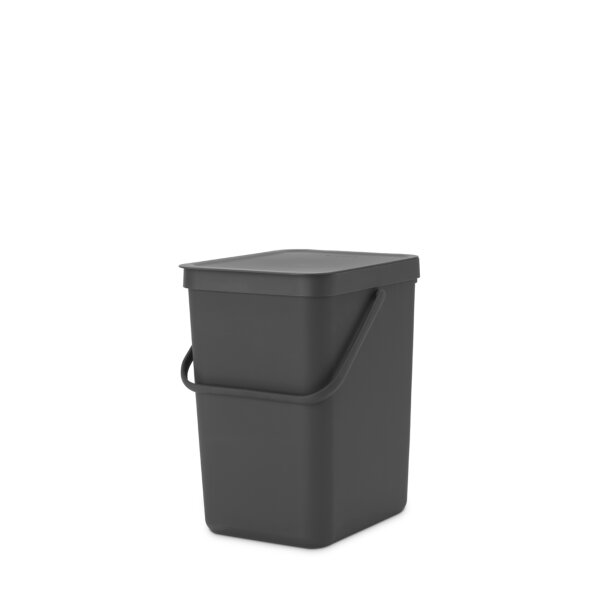 Brabantia Abfallbehälter Sort & Go 25l Kunststoff grey 1 Sortierfach
