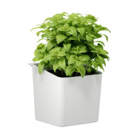 tesa® Kräutertopf KITCHEN 14,5 x 13,5 x 13,5 cm...