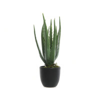 DECORIS Kunstpflanze Aloe Vera 25 x 35 cm (Ø x H)...