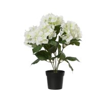 DECORIS Kunstpflanze Hortensie 28 x 46 x 28 cm (B x H x...