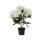 DECORIS Kunstpflanze Hortensie 28 x 46 x 28 cm (B x H x T) Polyester weiß