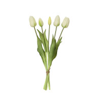 DECORIS Kunstblumenstrauß Tulpen 15 x 40 cm (B x H)...