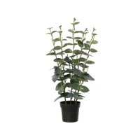 DECORIS Kunstpflanze Eukalyptus 25 x 54 x 25 cm (B x H x...