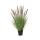 DECORIS Kunstpflanze Lampenputzergras 45 x 80 cm (B x H) PVC grün/braun