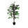 Paperflow Kunstpflanze Feigenbaum 100 x 120 cm (B x H) Polyester/Holz grün