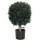 hjh OFFICE Kunstpflanze Buxus 40 x 65 x 40 cm (B x H x T) Kunststoff grün