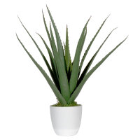 Paperflow Kunstpflanze meet Aloe Vera 45cm...
