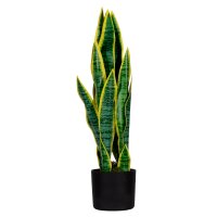 Paperflow Kunstpflanze meet Sansevieria 65cm...