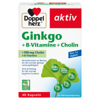 Doppelherz Nahrungsergänzungsmittel aktiv Ginkgo +...