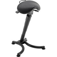 meychair Stehhilfe Futura Pro AF5 ca. 53 x 87 x 46 cm (B...