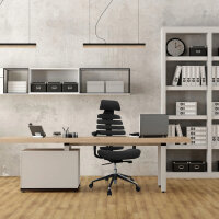 hjh OFFICE Bürodrehstuhl ERGO LINE II PRO 45-55cm...