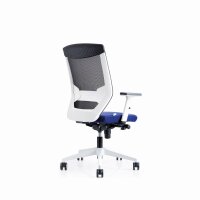 rocada Bürodrehstuhl 45-54cm Wippmechanik Rolle ungebremst (für Teppichboden) Kunststoff