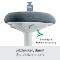 Leitz Sitzhocker Ergo Active Komfortsitz Farbe der...