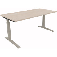 Schreibtisch all in one Maße: 1.600 x 650-850 x 800...
