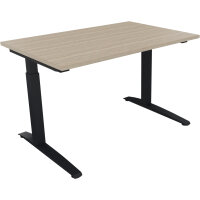 Schreibtisch all in one Maße: 1.200 x 650-850 x 800...