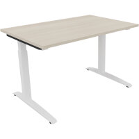 Schreibtisch all in one Maße: 1.200 x 650-850 x 800...