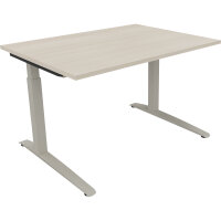 Schreibtisch all in one Maße: 1.200 x 650-850 x 900...