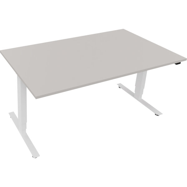 Schreibtisch Maße: 1.600 x 625-1.285 x 900 mm (B x H x T) Holz lichtgrau