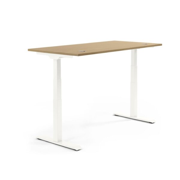 Schreibtisch FLEX MODUL Maße: 1.200 x 605-1.255 x 800 mm (B x H x T) Spanplatte, melaminharzbeschichtet eiche hell