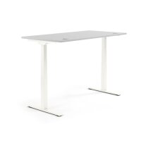 Schreibtisch FLEX MODUL Maße: 1.600 x 605-1.255 x...