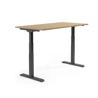Schreibtisch FLEX MODUL Maße: 1.200 x 605-1.255 x...