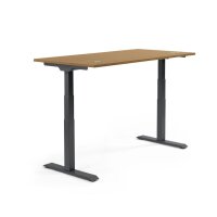 Schreibtisch FLEX MODUL Maße: 1.600 x 605-1.255 x...