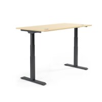 Schreibtisch FLEX MODUL Maße: 1.600 x 605-1.255 x...