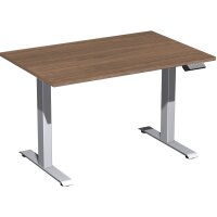 Geramöbel Schreibtisch Elevate Plus Maße:...