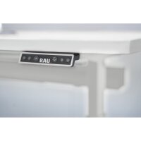RAU Schreibtisch Adlatus 100 Maße: 1.250 x...