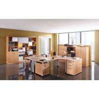 Hammerbacher Rollcontainer Solid 428 x 590 x 580 mm (B x...