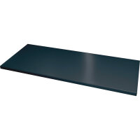 C+P Einlegeboden 800 x 420 mm (B x T) Stahl, lackiert...