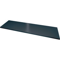 C+P Einlegeboden 1.200 x 420 mm (B x T) Stahl, lackiert...