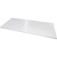 C+P Einlegeboden 1.194 x 552 mm (B x T) Stahl, lackiert...