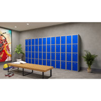Phoenix Kleiderspind Personal Locker 300 x 1.830 x 500 mm...