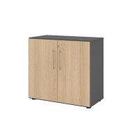 Hammerbacher Flügeltürenschrank V9 Advanced 80...