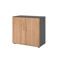 Hammerbacher Flügeltürenschrank V9 Advanced 80...