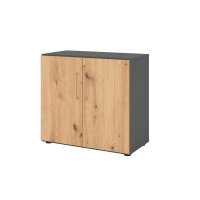 Hammerbacher Flügeltürenschrank V9 Advanced 80...