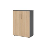 Hammerbacher Flügeltürenschrank V9 Advanced 800...