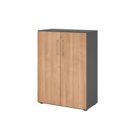 Hammerbacher Flügeltürenschrank V9 Advanced 800...