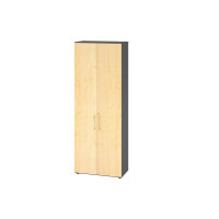 Hammerbacher Flügeltürenschrank V9 Advanced 800...