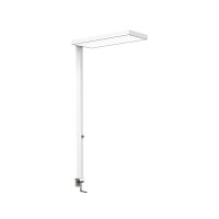 MAUL Tischleuchte MAULjura D je Lichtquelle: 1 x 16...